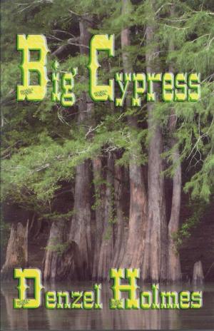Book cover of Big Cypress
