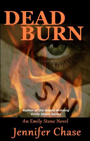 Cover of the book Dead Burn by Julie Achterhoff