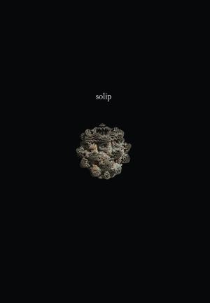 Cover of Solip