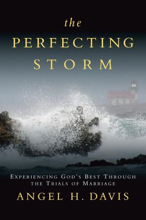 Cover of the book The Perfecting Storm by Keyon C. Polite