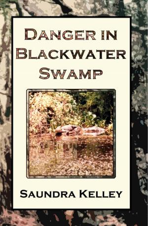 Cover of the book Danger In Blackwater Swamp by Misha Hikaru, Michael Wonderguy