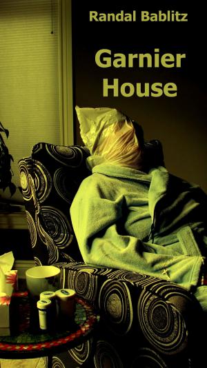 Cover of the book Garnier House by Julie Mellon
