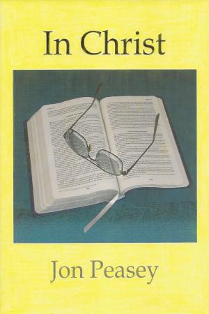 Cover of the book In Christ by Jon Peasey