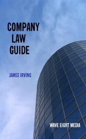 Cover of the book Company Law Guide by Mr. Knowitall