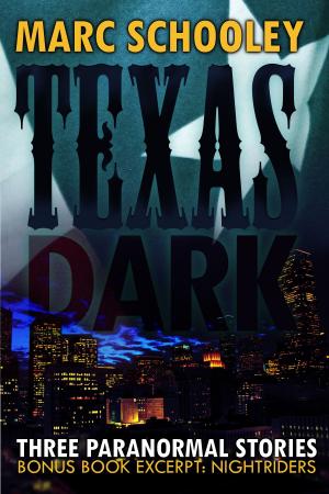 Cover of the book Texas Dark by Joe Chianakas