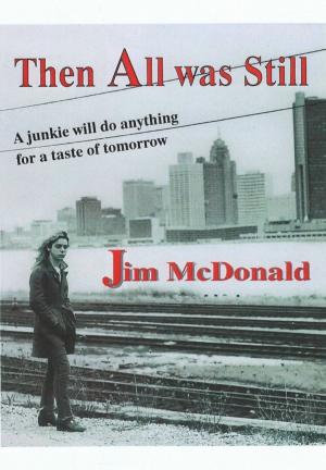 Cover of the book Then All Was Still by J.C. Hutchins