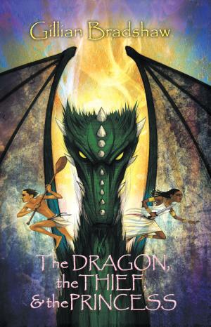 Book cover of The Dragon, the Thief & the Princess
