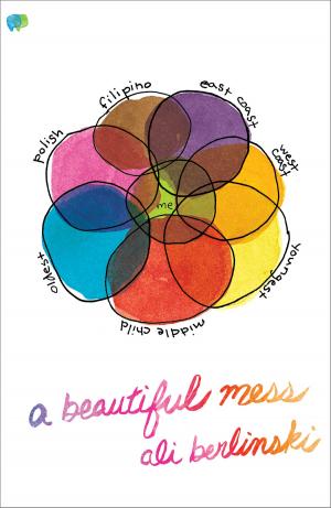 Cover of A Beautiful Mess by Ali Berlinski, Pubslush Press