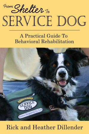 Cover of the book From Shelter To Service Dog: A Practical Guide To Behavioral Rehabilitation by Jennifer Alexander