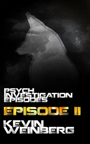 Cover of Psych Investigation Episodes: Episode II