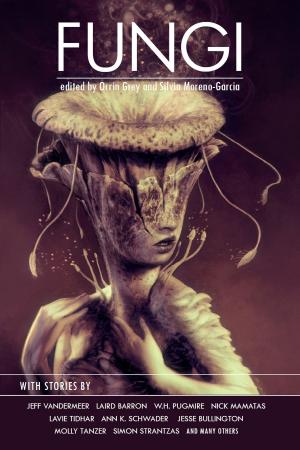 Book cover of Fungi