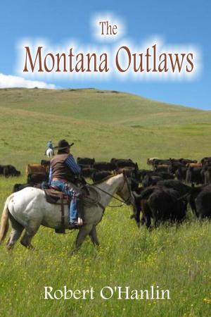 Book cover of The Montana Outlaws