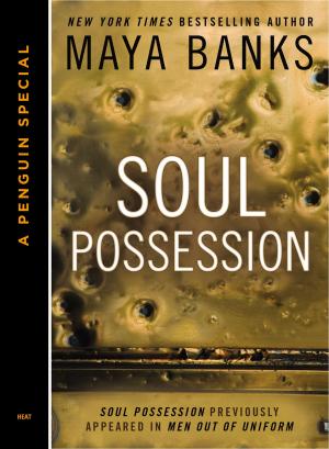 Cover of the book Soul Possession (Novella) by Scott Haas