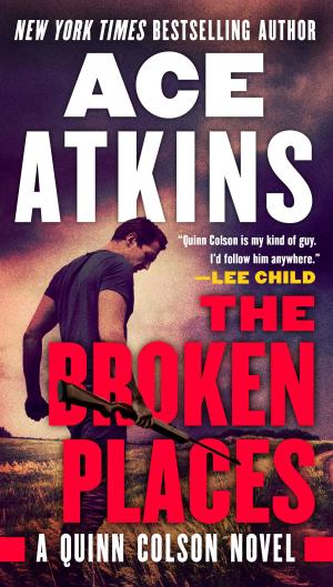 Book cover of The Broken Places
