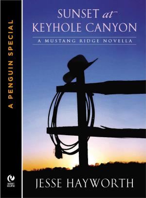 Cover of the book Sunset At Keyhole Canyon by John G. Hemry, Jack Campbell