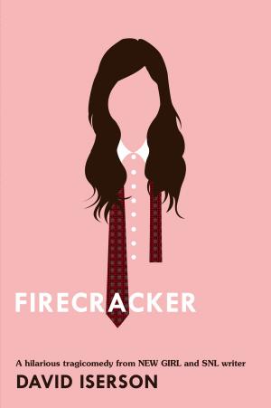 Cover of the book Firecracker by Yona Zeldis McDonough, Who HQ