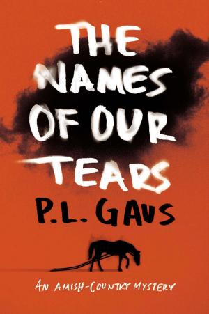 bigCover of the book The Names of Our Tears by 