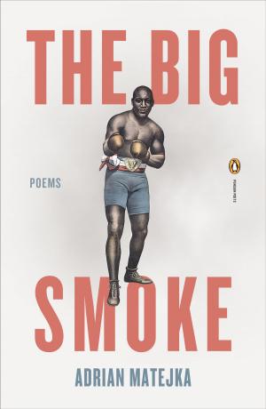 bigCover of the book The Big Smoke by 
