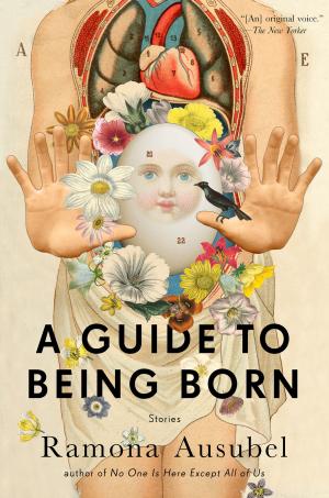 Cover of the book A Guide to Being Born by Dana Caspersen, Joost Elffers