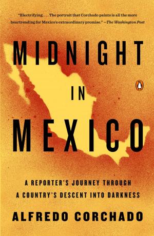 Cover of the book Midnight in Mexico by Robyn Schiff