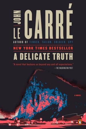 Cover of the book A Delicate Truth by Juan José Díaz Téllez