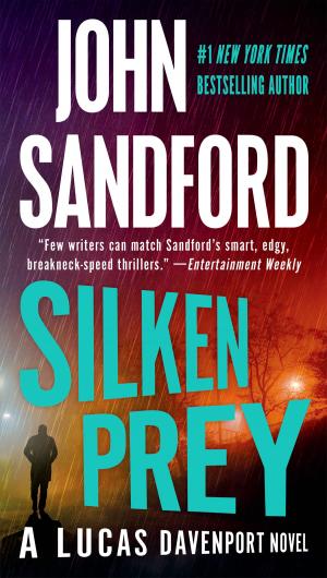 Cover of the book Silken Prey by Robyn M. Feller