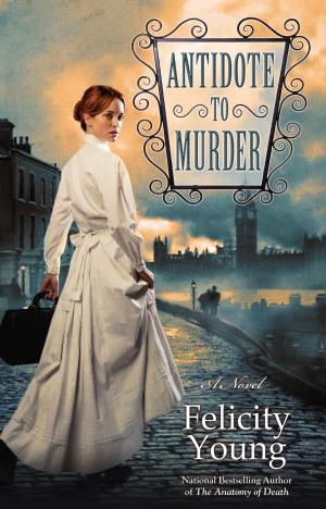 Cover of the book Antidote to Murder by Elif Shafak
