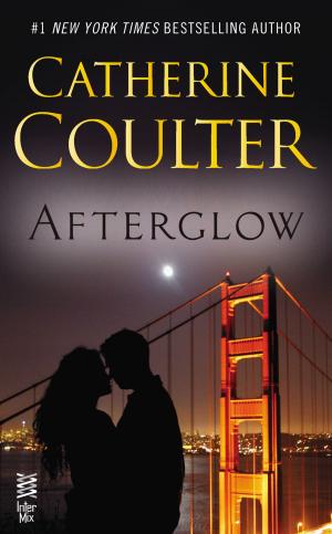 Cover of the book Afterglow by Ilena SIlverman