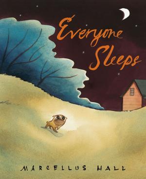 Cover of the book Everyone Sleeps by Matthew Boren