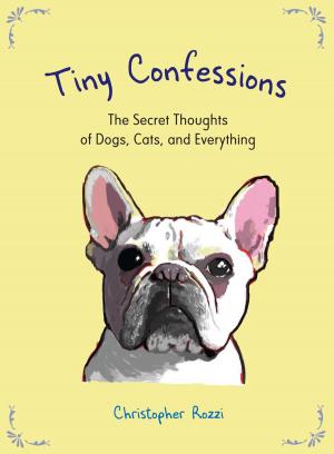 Cover of the book Tiny Confessions by Janet Evanovich