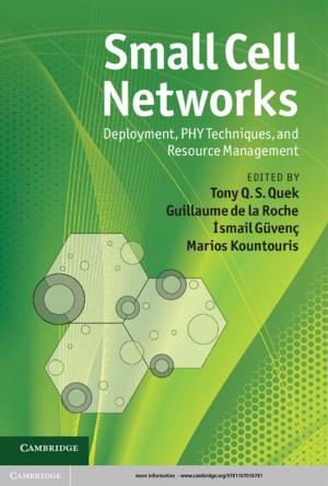 Cover of the book Small Cell Networks by Maurício C. de Oliveira