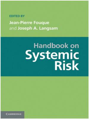 Cover of the book Handbook on Systemic Risk by Dr Stephanie Muravchik
