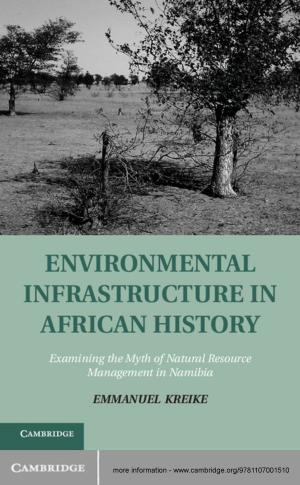 Cover of the book Environmental Infrastructure in African History by Daniel Blue
