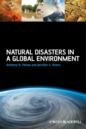 Book cover of Natural Disasters in a Global Environment