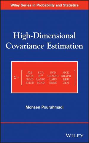 Cover of the book High-Dimensional Covariance Estimation by Chip Espinoza, Mick Ukleja
