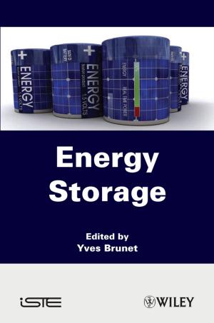 Cover of the book Energy Storage by Navin Nanda, Ming Chon Hsiung, Andrew P. Miller, Fadi G. Hage