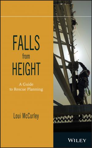 Cover of the book Falls from Height by Csaba Ortutay, Zsuzsanna Ortutay