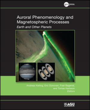 Cover of the book Auroral Phenomenology and Magnetospheric Processes by Sabyasachi Bhaumik, Satheesh Kumar Gangadharan, David Branford, Mary Barrett