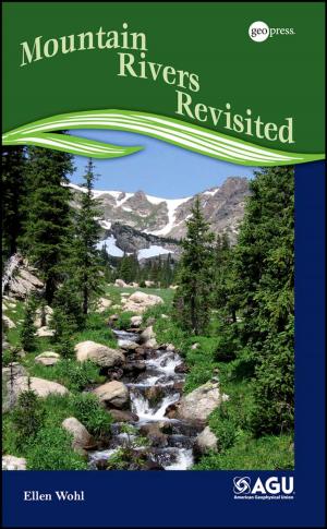 Cover of the book Mountain Rivers Revisited by Steven M. Bragg