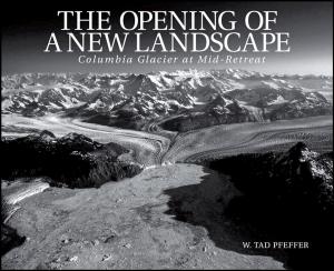 Cover of the book The Opening of a New Landscape by John D. Brewer