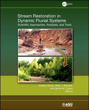 Cover of the book Stream Restoration in Dynamic Fluvial Systems by Karl E. Weick