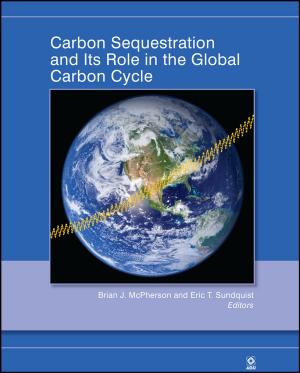 Cover of the book Carbon Sequestration and Its Role in the Global Carbon Cycle by Darian Rodriguez Heyman