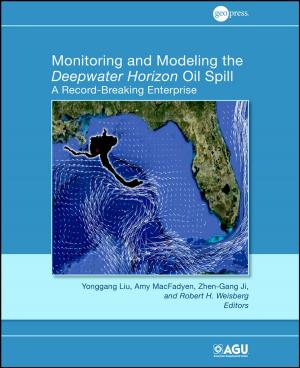 Cover of the book Monitoring and Modeling the Deepwater Horizon Oil Spill by Jose Maria Lagaron, Maria Jose Ocio, Amparo Lopez-Rubio
