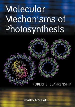 Cover of the book Molecular Mechanisms of Photosynthesis by John J. Capela