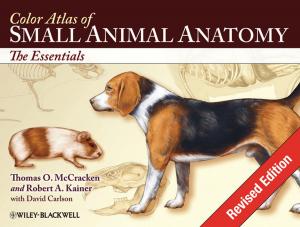 Cover of the book Color Atlas of Small Animal Anatomy by Sandra F. Rief, Judith Stern
