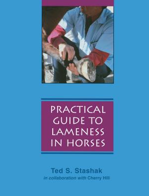 Book cover of Practical Guide to Lameness in Horses