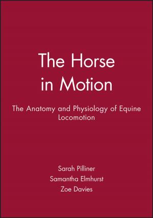 Cover of the book The Horse in Motion by Benoit Peeters