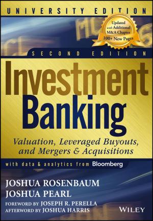 Cover of the book Investment Banking by Takuro Sato, Daniel M. Kammen, Bin Duan, Martin Macuha, Zhenyu Zhou, Jun Wu, Muhammad Tariq, Solomon Abebe Asfaw