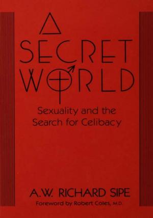 Cover of the book A Secret World by Zarine L. Rocha