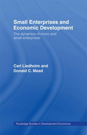 Cover of the book Small Enterprises and Economic Development by Ana M. Manzanas, Jesús Benito Sanchez